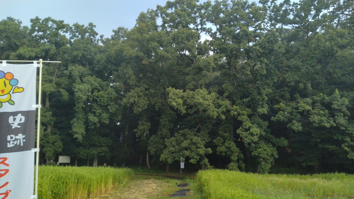 _rekichi's tweet photo. 8月21日分！
前日のうちに太田市にワープしてます。
この日は天神山古墳というところからスタートしてます！

太田市｜天神山古墳
https://t.co/9JgzCBdOiv

なんと！東日本では最大の古墳らしいですよ〜〜！！
別名は男体山（なんたいさん）古墳です。

太田天神山古墳
https://t.co/vS30CXBrc7 https://t.co/sXvrnbT8LM
