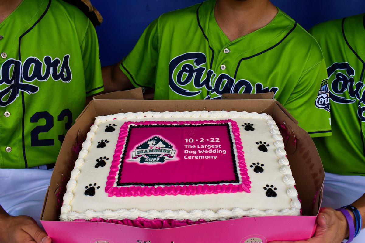 Do you like dogs, cake, weddings, or all of the above???

Register your dog to be a part of the Guinness World Record Attempt for the LARGEST DOG WEDDING on October 2nd at Northwestern Medicine Field! 💍🐶🎂<a href="/gwrdogwedding/">Diamonds in the Ruff - Largest Dog Wedding</a>