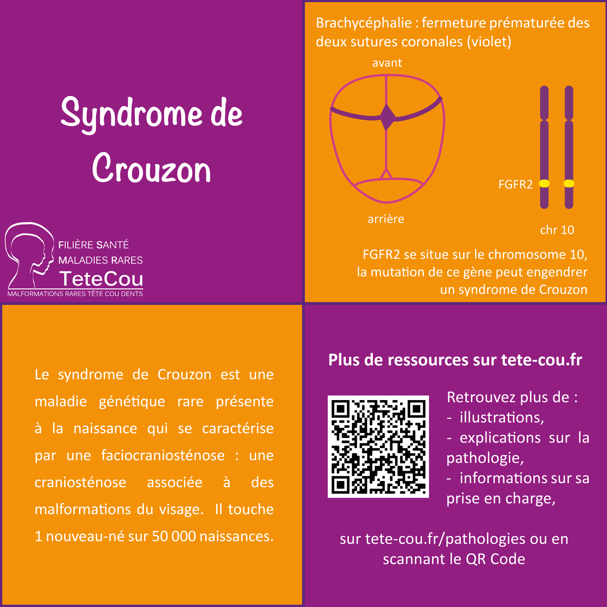 FiliereTETECOU's tweet photo. [Pathologie TETECOU #32 : Syndrome de Crouzon]
Des illustrations et des ressources sur le syndrome de Crouzon et sa prise en charge.
👉https://t.co/bfJRPkzLZE
En 2022, chaque vendredi, la @FiliereTETECOU met à l'honneur une #maladierare.
@AssnANNA @asso_teteenlair https://t.co/ZPR1x49GuJ
