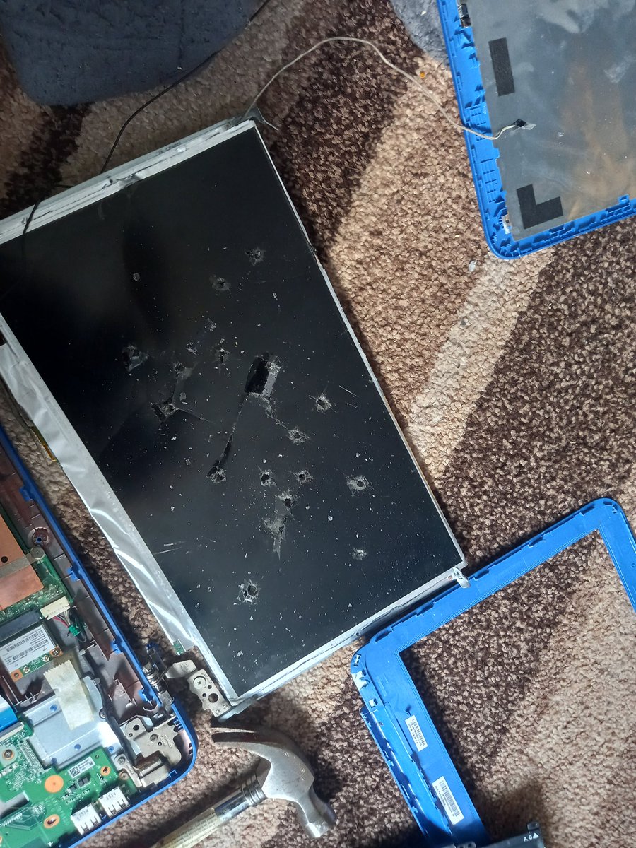 dreamintreat tweet media