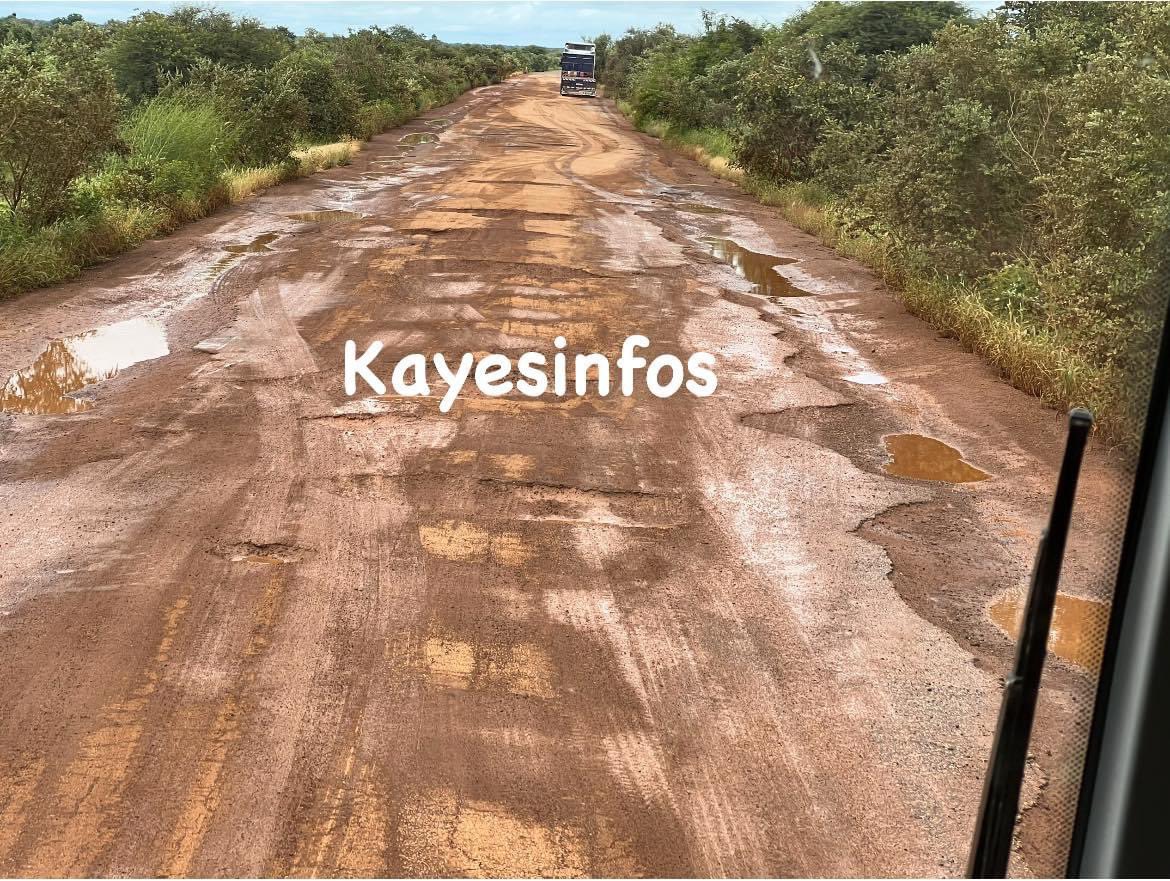 konate90's tweet photo. Tronçon Dièma - Kayes.
Cp : KayesInfos
#RouteKayes #RN1 #Bèki_Takè https://t.co/i5z8w43Evn