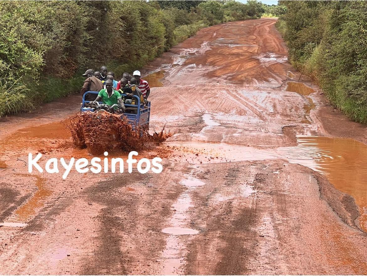 konate90's tweet photo. Tronçon Dièma - Kayes.
Cp : KayesInfos
#RouteKayes #RN1 #Bèki_Takè https://t.co/i5z8w43Evn