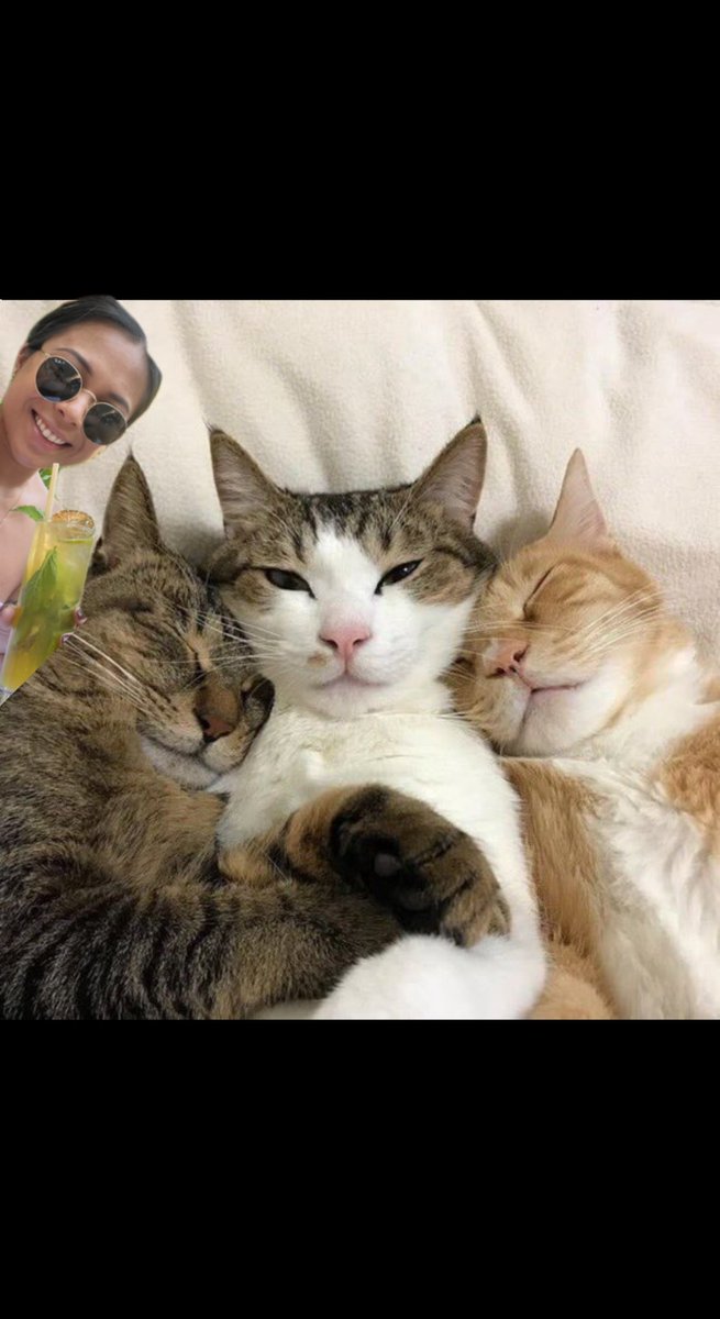 luisatinap's tweet photo. @meowgumii that's better https://t.co/dO6y0SfHXF