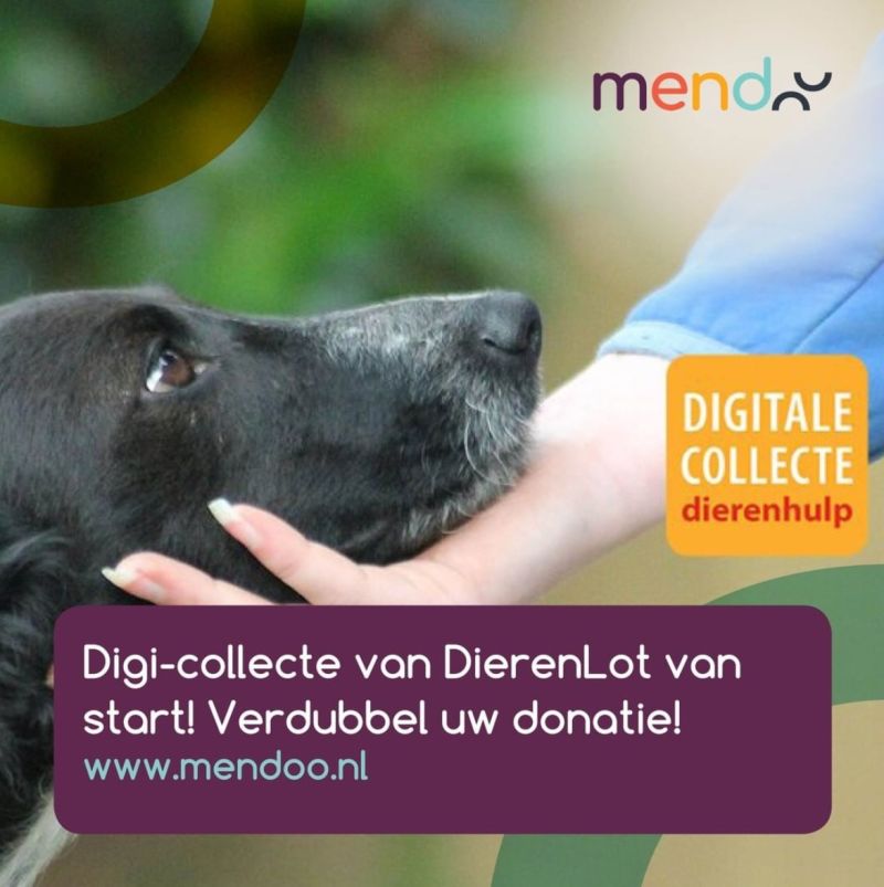Wist je dat veel slachtoffers van huiselijk geweld niet vluchten omdat ze hun huisdier niet willen achterlaten? Met jouw donatie kun jij hen verder helpen én van 23-09 t/m 8-10 wordt dit zelfs door <a href="/DierenLot/">Stichting DierenLot</a> verdubbeld!!! 1+1 = 2 💪 
𝑫𝑶𝑵𝑬𝑬𝑹 𝑵𝑼: dierenlot.digicollect.nl/stichting-mend…