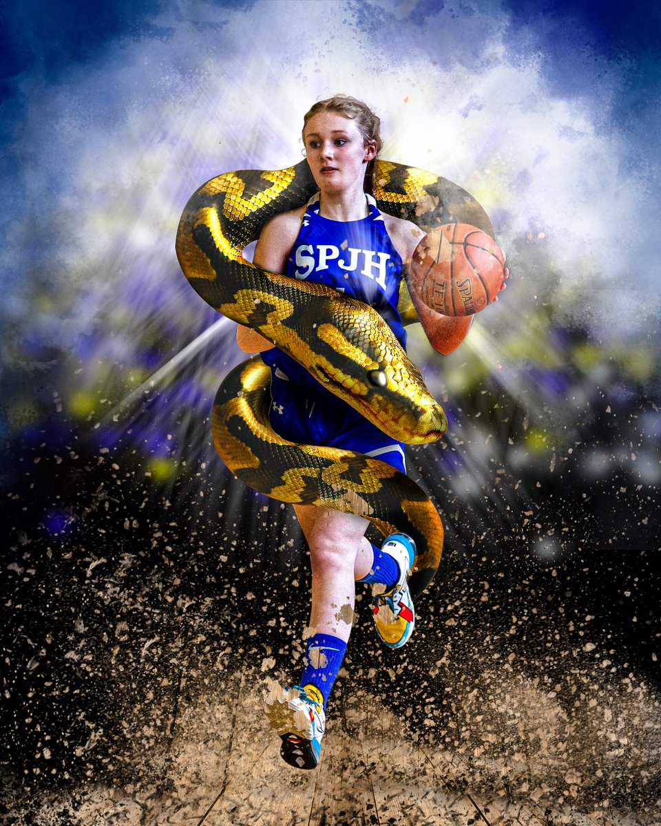 Newfoundland Sports Photos tweet media