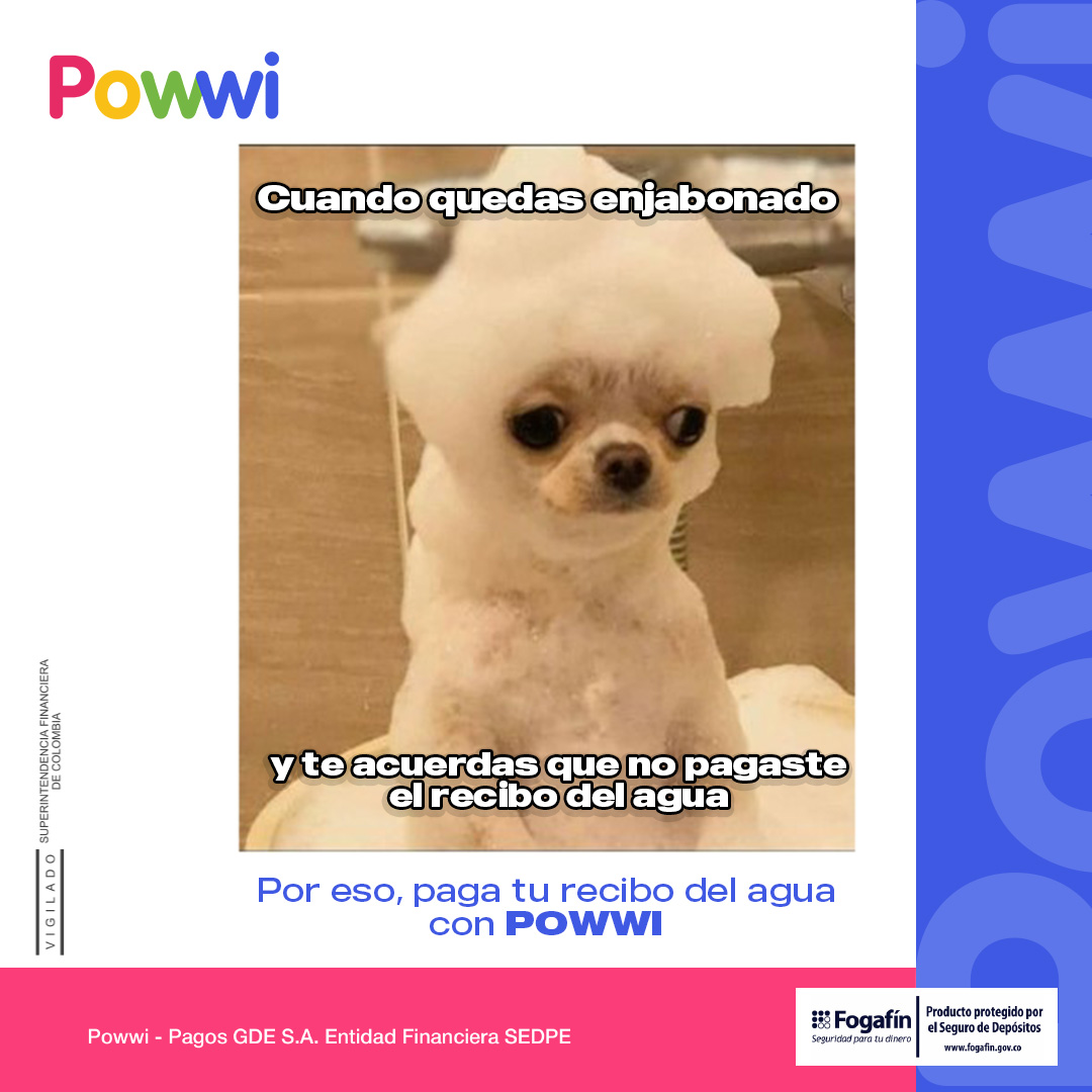 Powwi tweet media