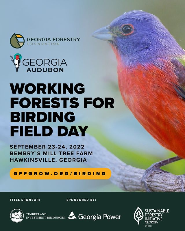 GeorgiaPower's tweet photo. Georgia Power is proud to support @gaforestryfdn & @GeorgiaAudubon for Working Forests for Birding Field Day.
Set in a #workingforest, it will connect Georgia’s birders & forest landowners to learn how forest management can protect bird habitat.
https://t.co/gbNaOelg6P. https://t.co/2Y2hPJpbMm