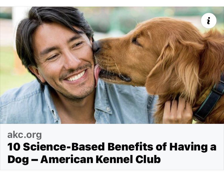 10 science base benefits of having a dog
akc.org/expert-advice/…

Stone Ridge Vet Clinic 

#Riverton #Daybreak #Bluffdale  #IndependenceAtThePoint #Murray #Midvale #Lehi #Anthem #Herriman #Draper

#PetCheckUp #Dog #Cat #VeterinarianClinic #Veterinarian #Grooming #Boarding