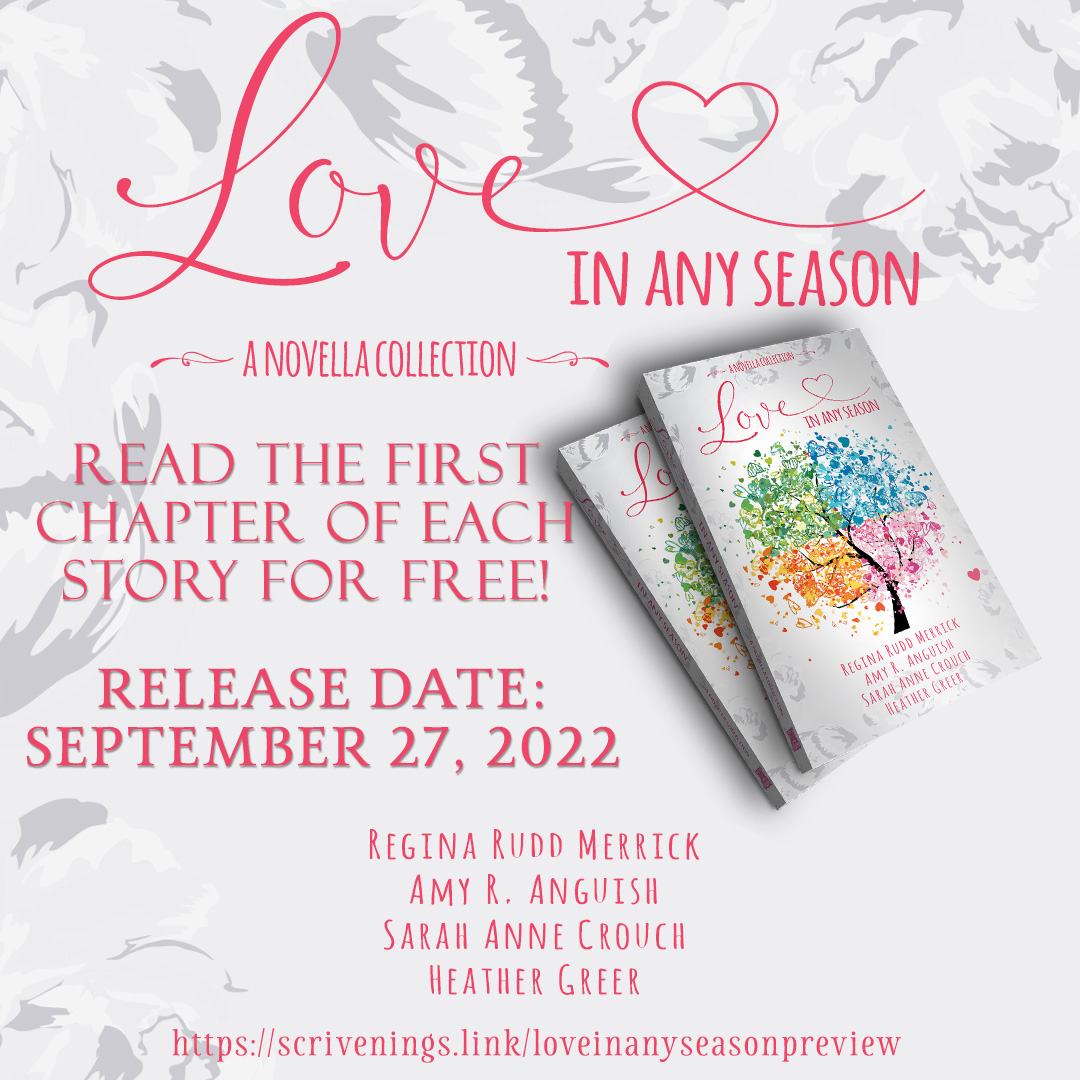 Love in Any Season, a novella collection, releases 9/27/22, but you can read chapter one of each story starting today!

scrivenings.link/loveinanyseaso…

Pre-order now and save! The price goes up Tuesday.

#freechapters #christianfiction #preorderpricing #ContemporaryRomance