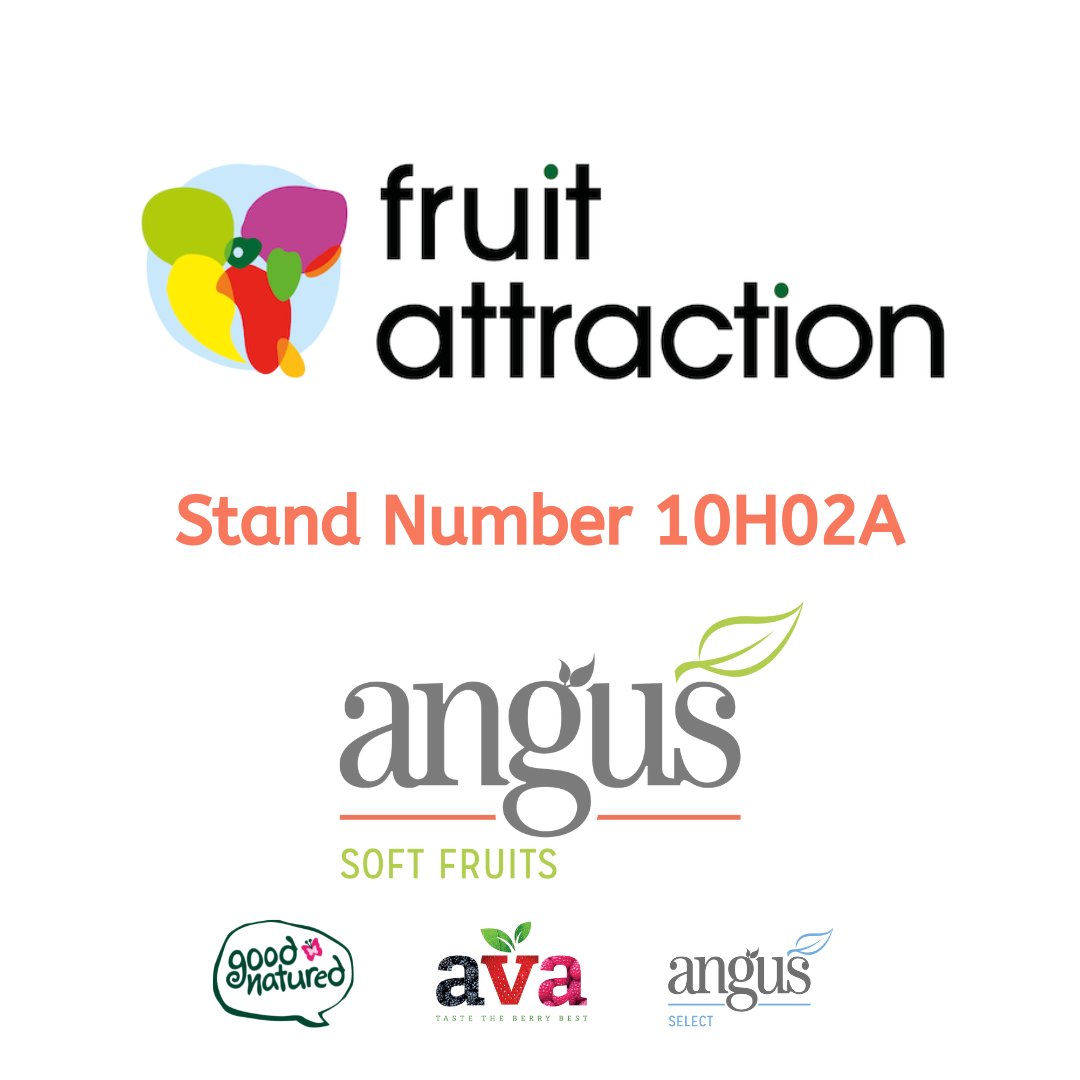 We’re attending Fruit Attraction in Madrid! Stand Number 10H02A – Get in touch for a meeting at our stand, call 01798 774983 or email salvatore.latino@angussoftfruits.com
#FruitAttraction #Madrid #TheBerrySpecialists #GoodNaturedBerries #AVABerries