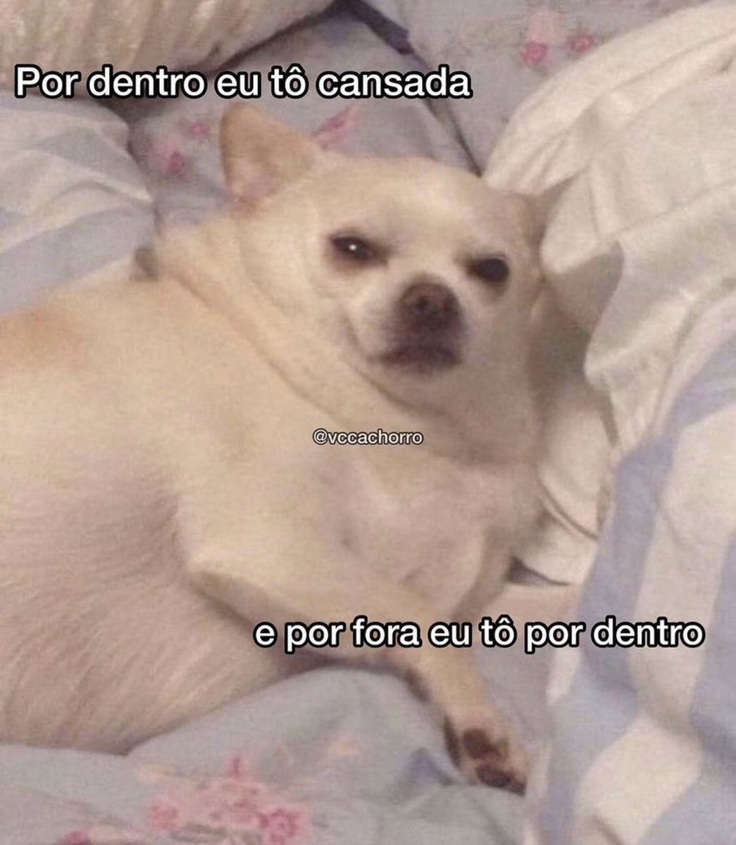 matheus's tweet photo. sextou https://t.co/bwBTTZqib0