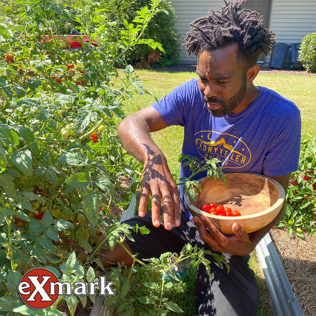 Exmarkmowers's tweet photo. In this video Brian Latimer walks you through the best way to cook up your fall harvest. A delicious #ExmarkBackyardFriday.
Cook up your harvest with this video, https://t.co/HpvwxbTvTC
#ExmarkBackyardLife #Exmark #TeamExmark #ExmarkMowers https://t.co/LHRyU70AoW