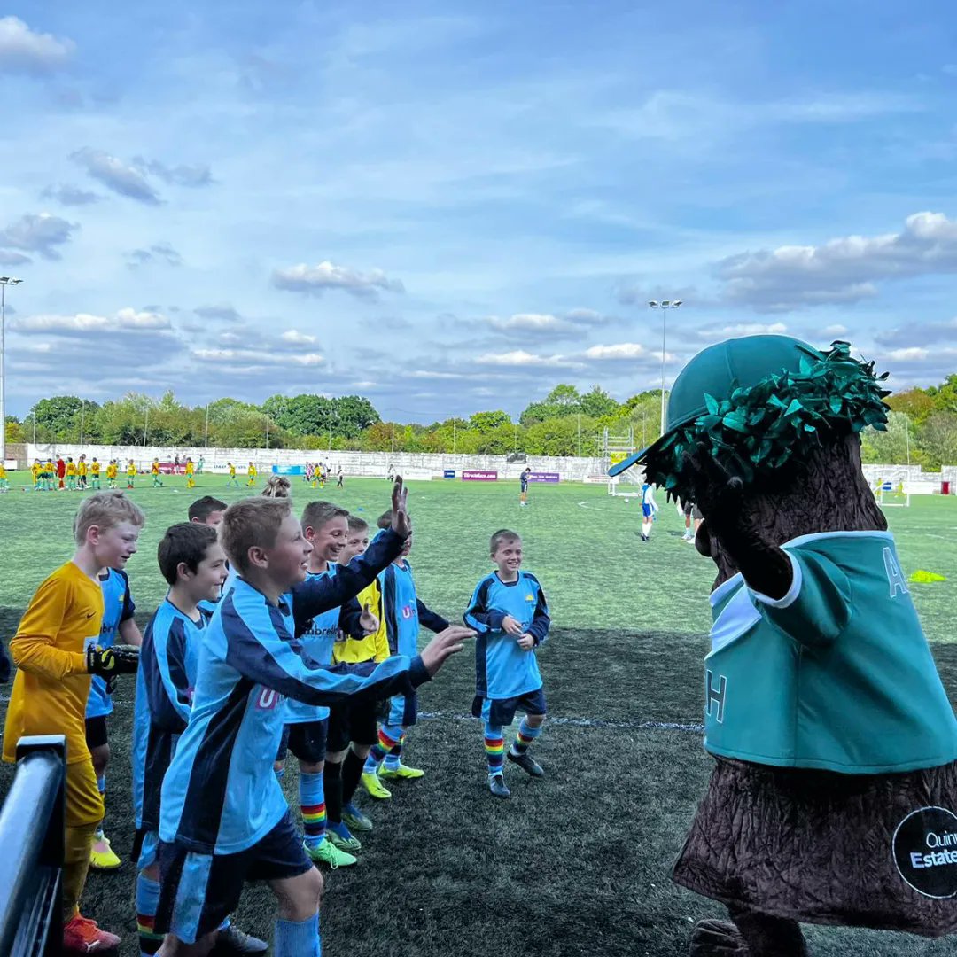 AshTheTreeAUFC tweet media