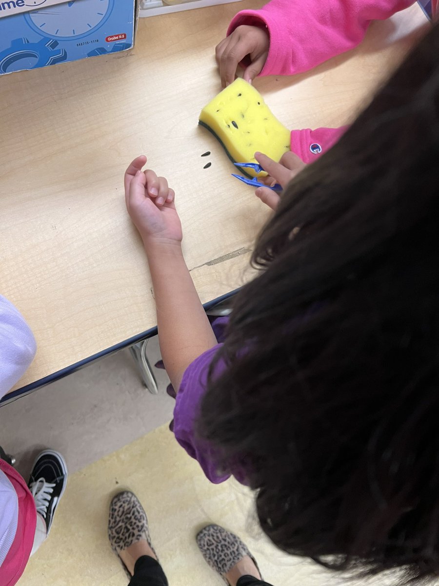 Linda Broderick tweet media