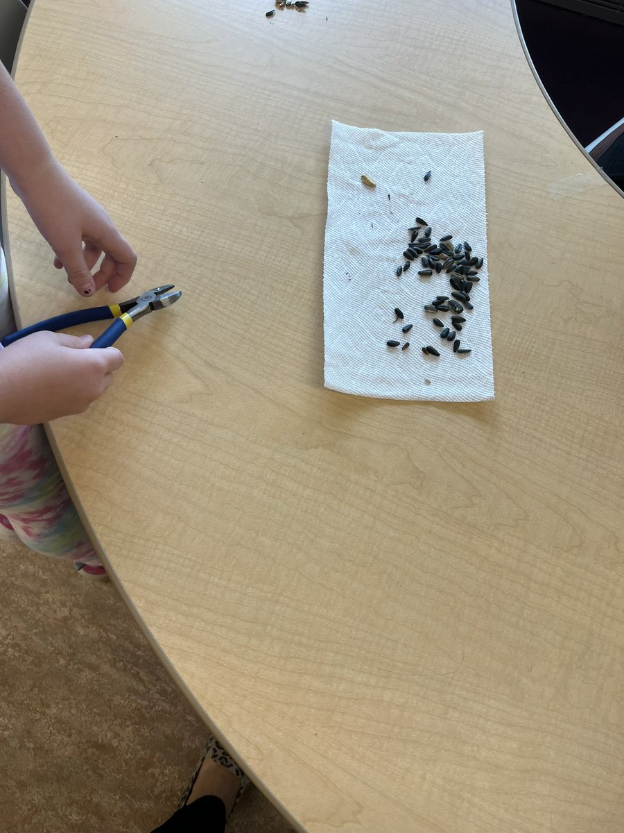 Linda Broderick tweet media