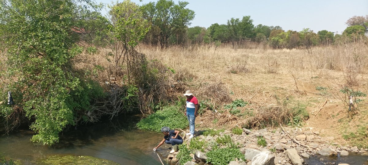 TSchenekar's tweet photo. Had a blast holding a small introductory workshop about #eDNA  and eDNA sampling at @SANBI_ZA in Pretoria and particularly enjoyed the field trip to Faerie Glen Nature Reserve. Well done everyone and thank you for joining online or in person! https://t.co/ldYmMYTyMg