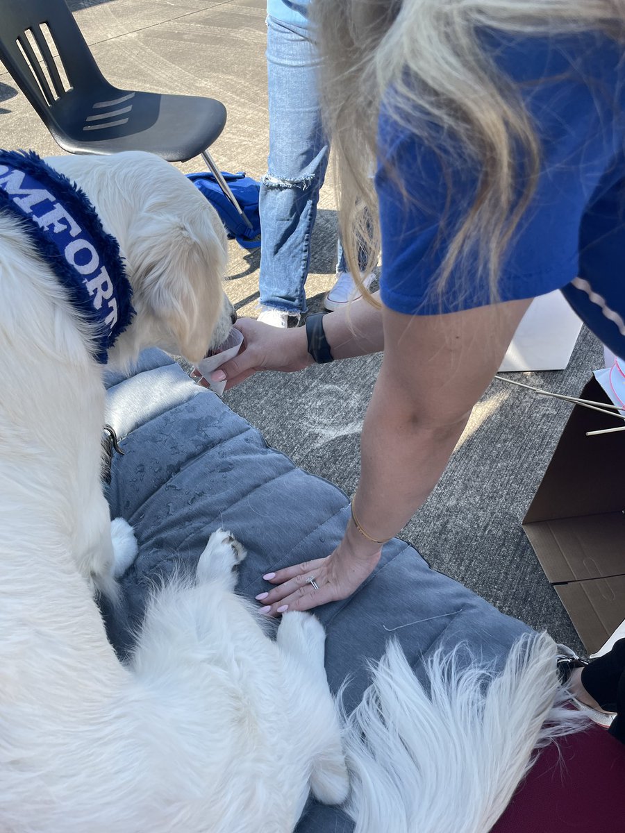 Endeavor High School (@endeavoreagles) on Twitter photo <a href="/BMEBaxter/">Baxter the Bobcat</a> enjoying the sunshine before he goes to his fur-ever home. <a href="/comfort_dogs/">Interquest C.A.R.E.S</a> was able to bring him back for our students to wish him “Bon-Voyage”. <a href="/CVISDEdFd/">Channelview ISD Education Foundation</a> provided the grant for twice a month visits in <a href="/ChannelviewISD/">Channelview Independent School District</a> <a href="/BMEBaxter/">Baxter the Bobcat</a> enjoying the sunshine before he goes to his fur-ever home. <a href="/comfort_dogs/">Interquest C.A.R.E.S</a> was able to bring him back for our students to wish him “Bon-Voyage”. <a href="/CVISDEdFd/">Channelview ISD Education Foundation</a> provided the grant for twice a month visits in <a href="/ChannelviewISD/">Channelview Independent School District</a>