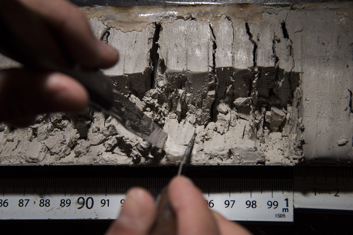 WHOI's tweet photo. What do #coral skeletons, #seafloor sediments  &amp; #glacier ice in common? All are natural time capsules that tell the story of Earth’s #pastclimate, helping us predict our #climatefuture. Make the #OceanClimateConnection at https://t.co/hjuJ17y5bW https://t.co/3YaTgv6vGP