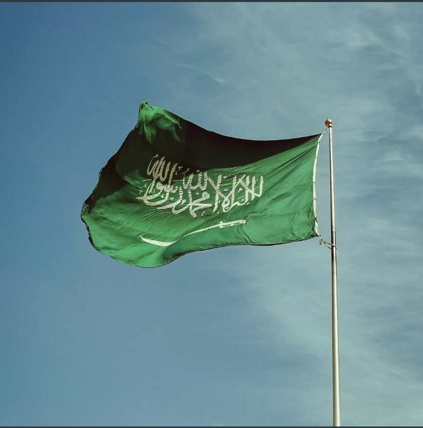 ahlammohmmed's tweet photo. ٩٢ عام هي لنا دار وحنا لها فخر وعمار
 كُل عام ووطني في خّيـر وأستقرار🇸🇦💚🤍 https://t.co/AhJME1QED1