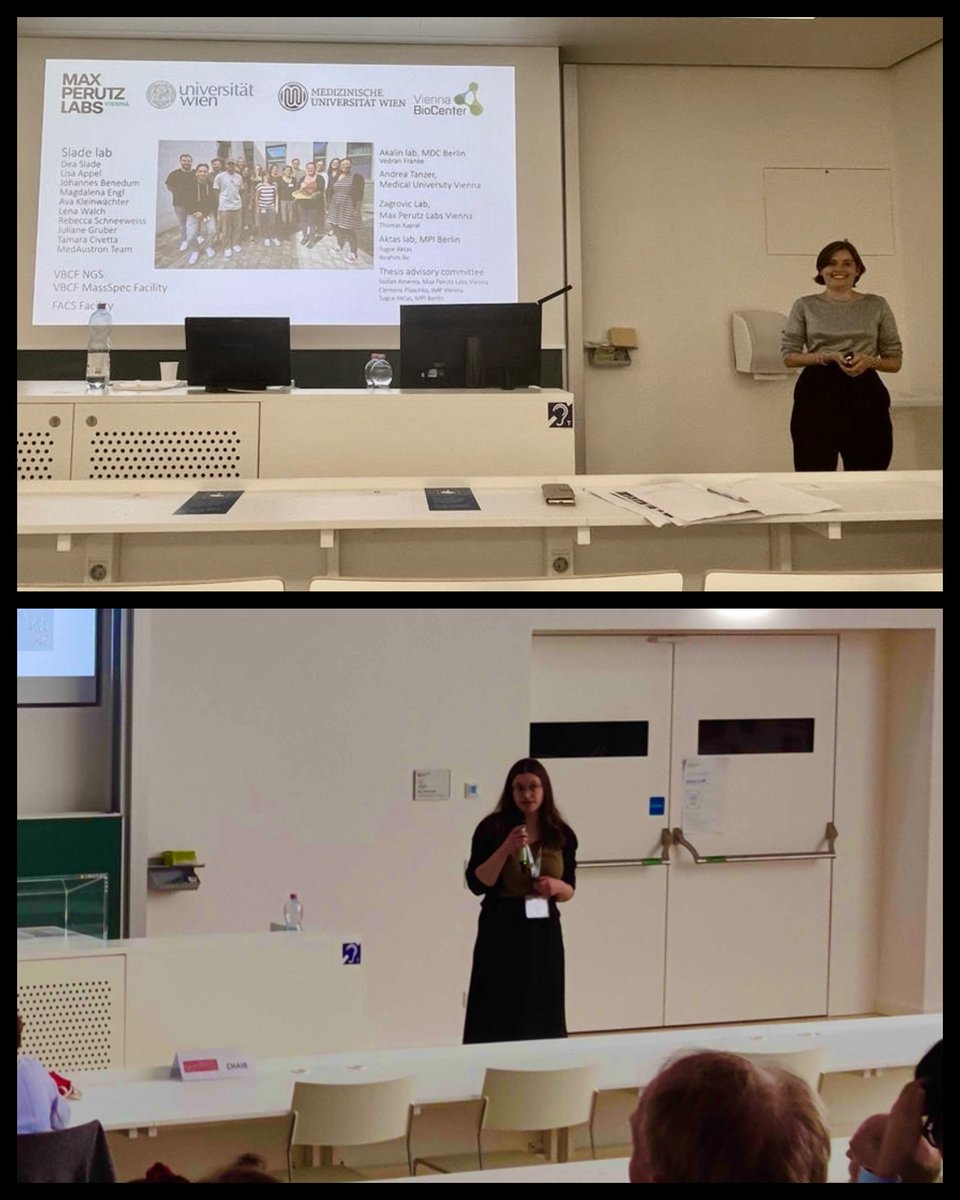 SPOC enterprise (@spoc_enterprise) on Twitter photo This week, our PhD student Xué Strobl and our Master's student Rebecca Schneeweiss had the opportunity to present and discuss their work at the 14th ÖGMBT Annual meeting <a href="/ogmbt_ylsa/">ÖGMBT-Young Life Scientists Austria</a> <a href="/viennabiocenter/">Vienna BioCenter</a> #ÖGMBT This week, our PhD student Xué Strobl and our Master's student Rebecca Schneeweiss had the opportunity to present and discuss their work at the 14th ÖGMBT Annual meeting <a href="/ogmbt_ylsa/">ÖGMBT-Young Life Scientists Austria</a> <a href="/viennabiocenter/">Vienna BioCenter</a> #ÖGMBT