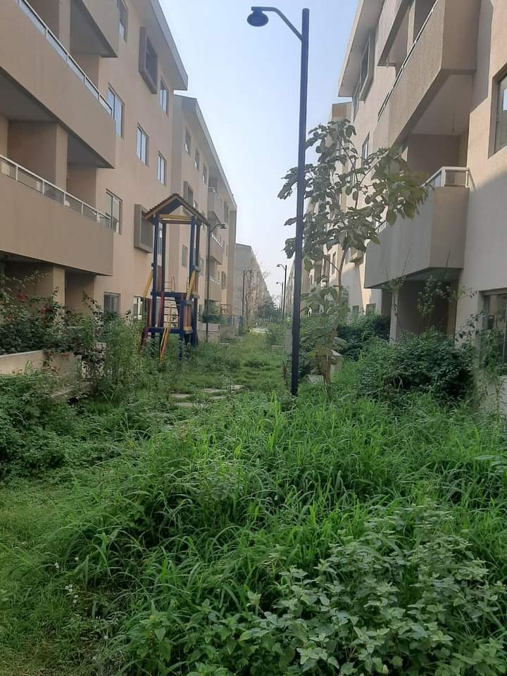 BrigadaParlamentariaSCZ tweet media