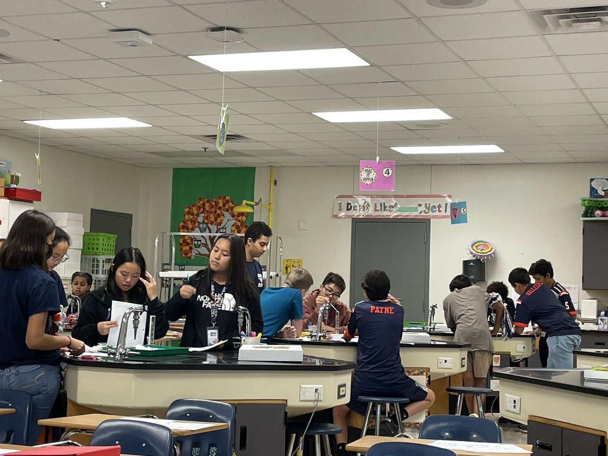 Denise Shupe tweet media