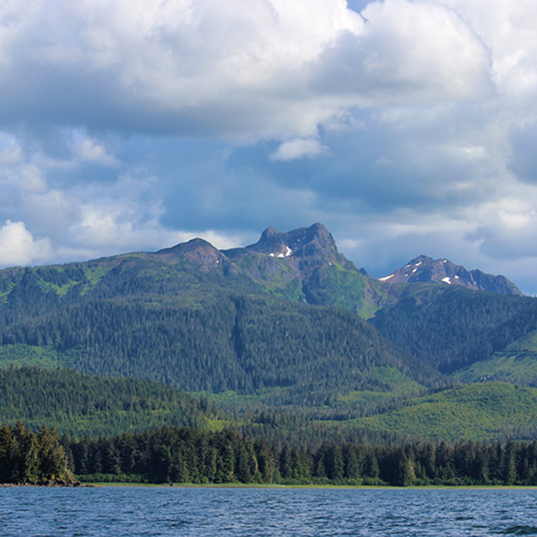 conservationall's tweet image. #FundedProjectFriday! #granteespotlight on @WECAN_INTL. 
Women for Forests: Tongass Protection: To permanently protect 9.2 million acres of Alaska’s Tongass National Forest from extractive industries. Read more: ow.ly/ME3F50Kc60z
📸: Katherine Quaid #wekeepitwild