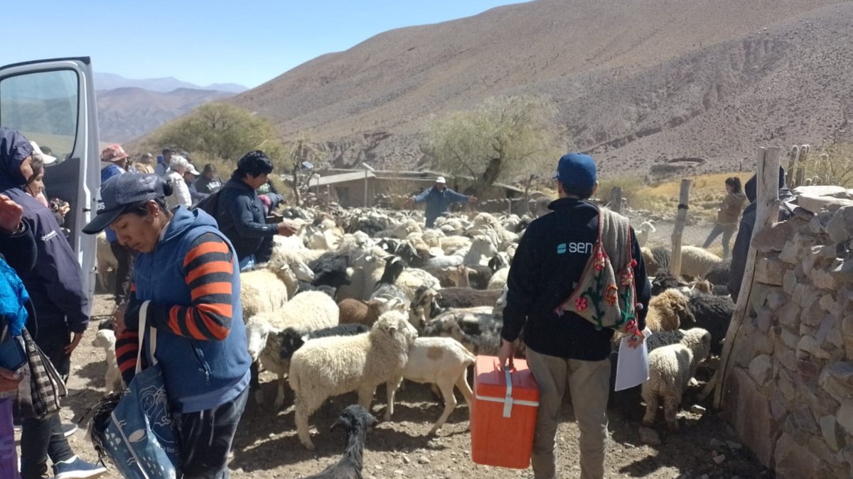 SenasaAR's tweet photo. Jornada de vigilancia, control y prevención de la hidatidosis en El Rosal, depto Rosario de Lerma, #Salta
✅ Junto a la delegación local de la #Safci, productores y sus familias, alumnos, Laboratorio Tecnovax, veterinarios de Chubut y representantes de Tastil y Campo Quijano. https://t.co/FK0Halu4ji