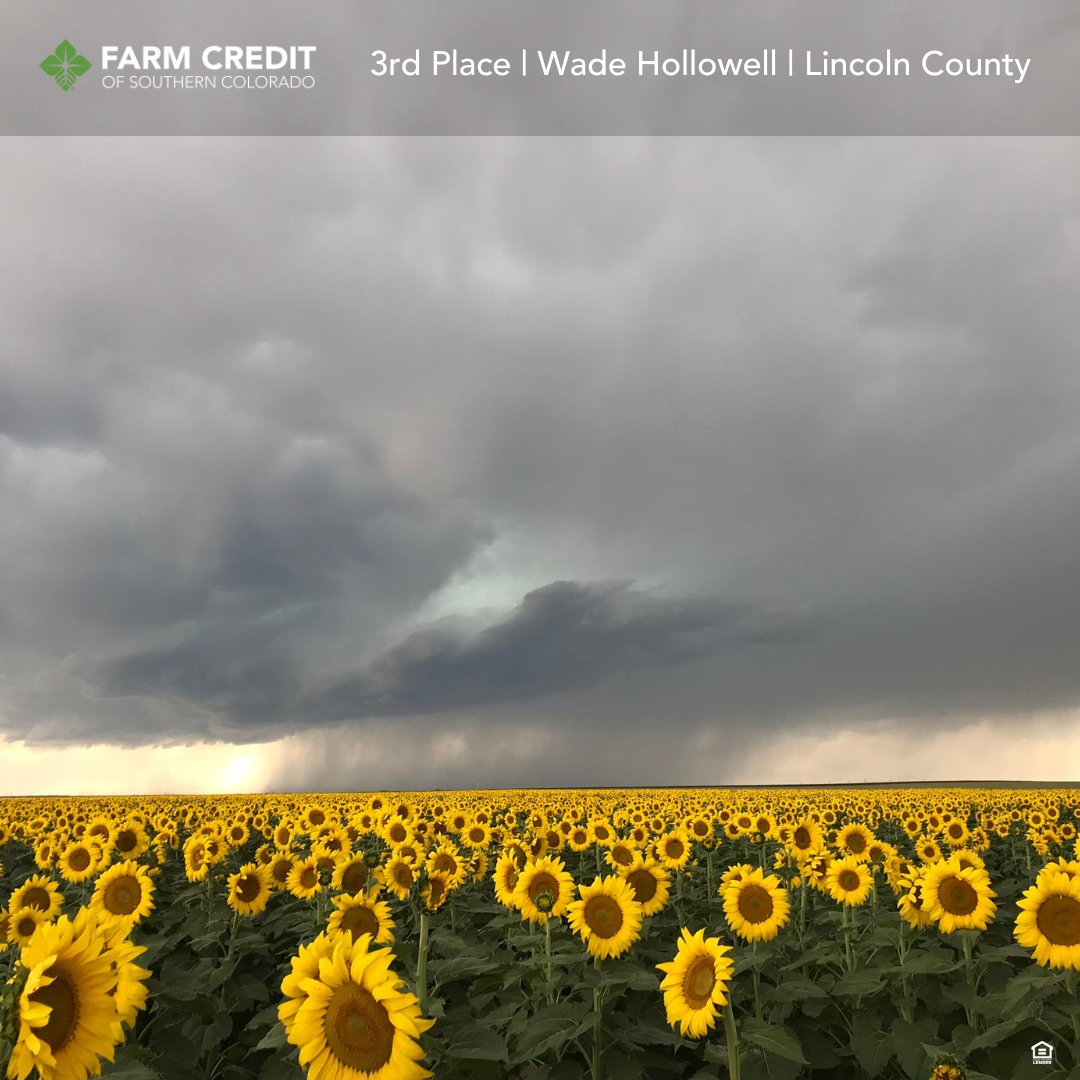aglending1's tweet photo. Results are in for the 2023 Photo Contest! 📷 Our third-place winner is… Wade Hollowell, from Lincoln County! Thank you to everyone that participated in this contest. Calendars will be available in early November to pick up at your local Farm Credit Office. https://t.co/kCE8DKVJkr