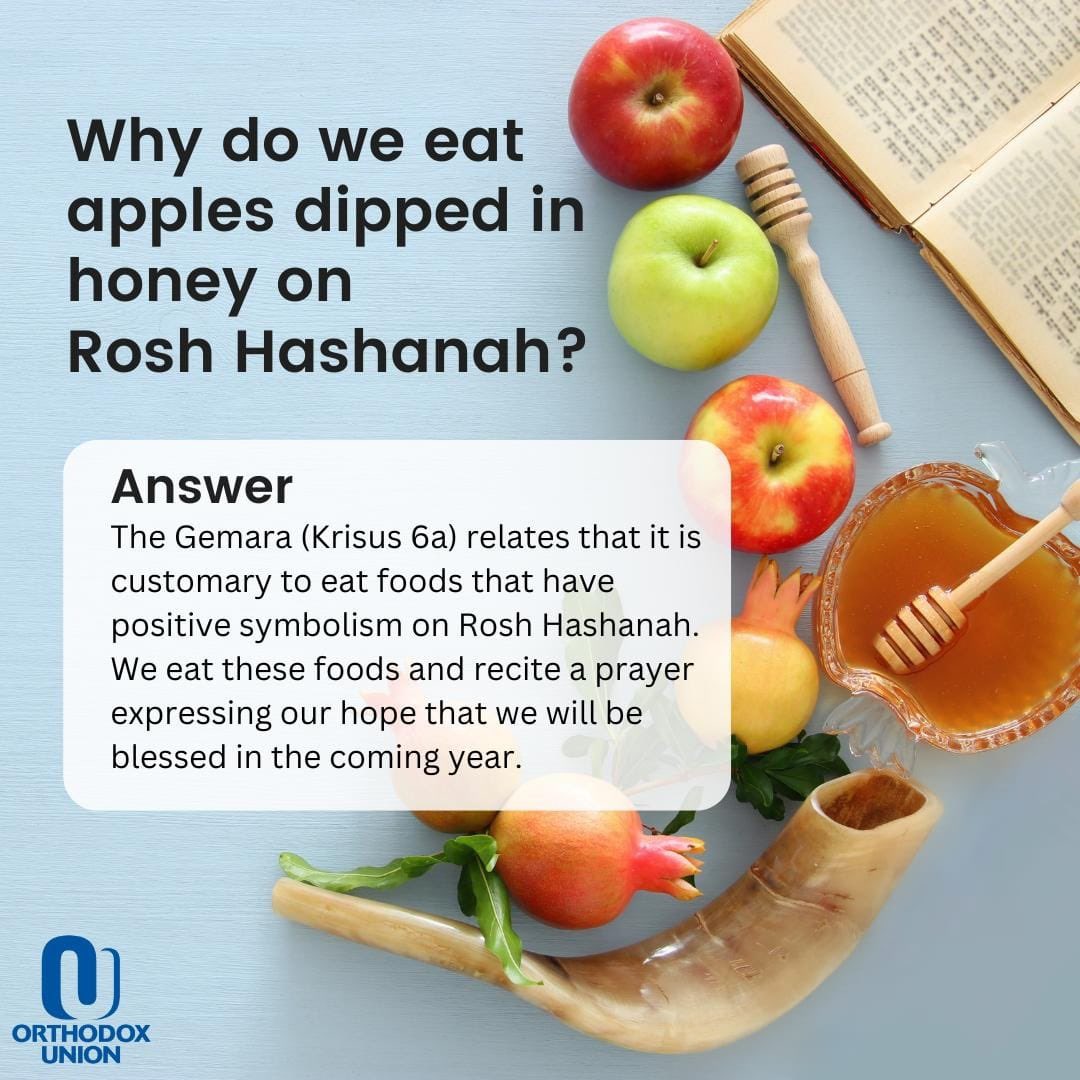 OrthodoxUnion's tweet photo. Have you ever wondered why we eat apples dipped in honey on Rosh Hashanah? 🍎🍏🍯
Learn more about Rosh Hashanah and other Jewish holidays at https://t.co/vGEW6x2qBZ or https://t.co/ArYhm9Ztqc.
#orthodoxunion #ou #oukosher #roshhashanah #shofar #applesandhoney #jewishholidays https://t.co/r0zOkftdEt