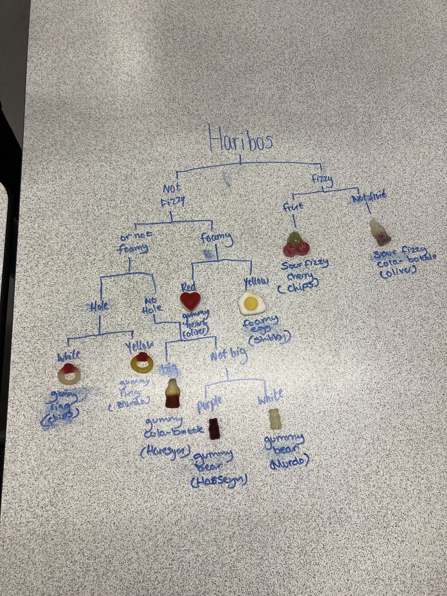 MsMatthewBio's tweet image. Friday highlights are back! Great work by N5 biologists who synthesised starch after extracting their own phosphorylase enzymes from potatoes. Huge well done to S3 biologists who practiced writing keys using haribos! A brilliant end to the week 😁