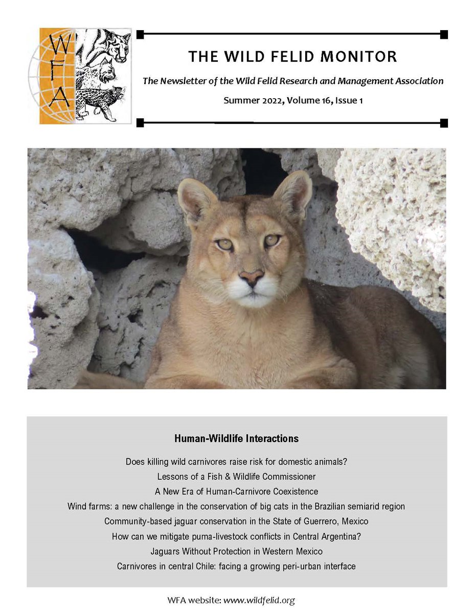 Wild Felid Research and Management Association tweet media