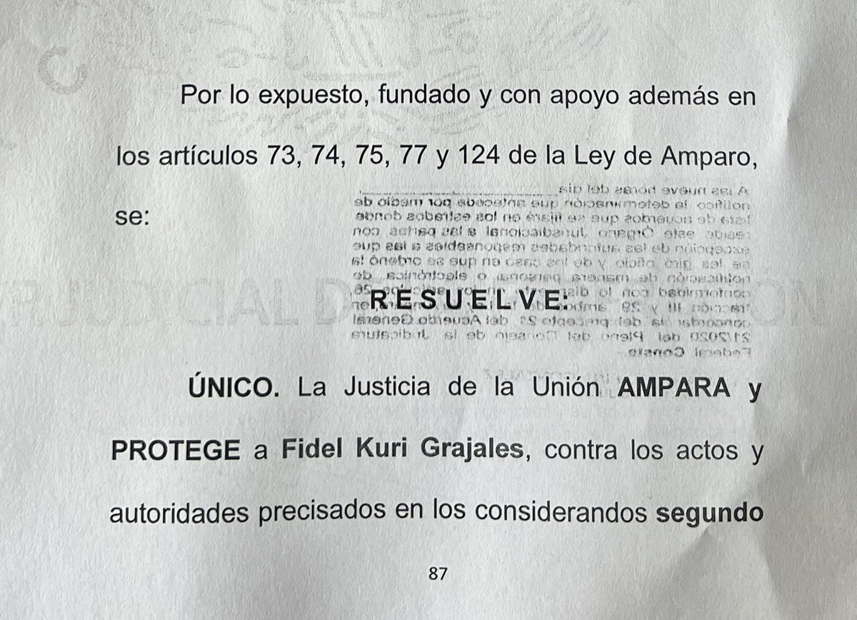 Fidel Kuri Grajales tweet media