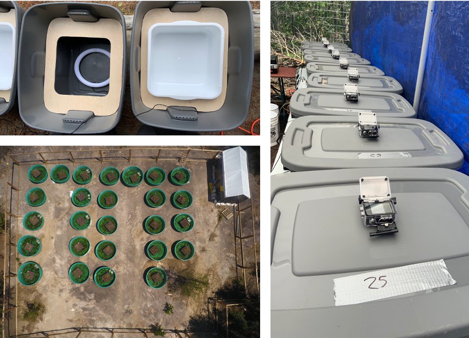 Mr_AdamScott's tweet photo. The scientific community doesn't know the fate of freshwater oil spills. Our project: A study of oil spill remediation to examine the efficacy of engineered wetlands for degrading hydrocarbons. Using 9 mesocosms, tadpoles were recorded weekly (Total=930mins) (LOTR=686mins) 2/3 https://t.co/BDdfEqNNO6