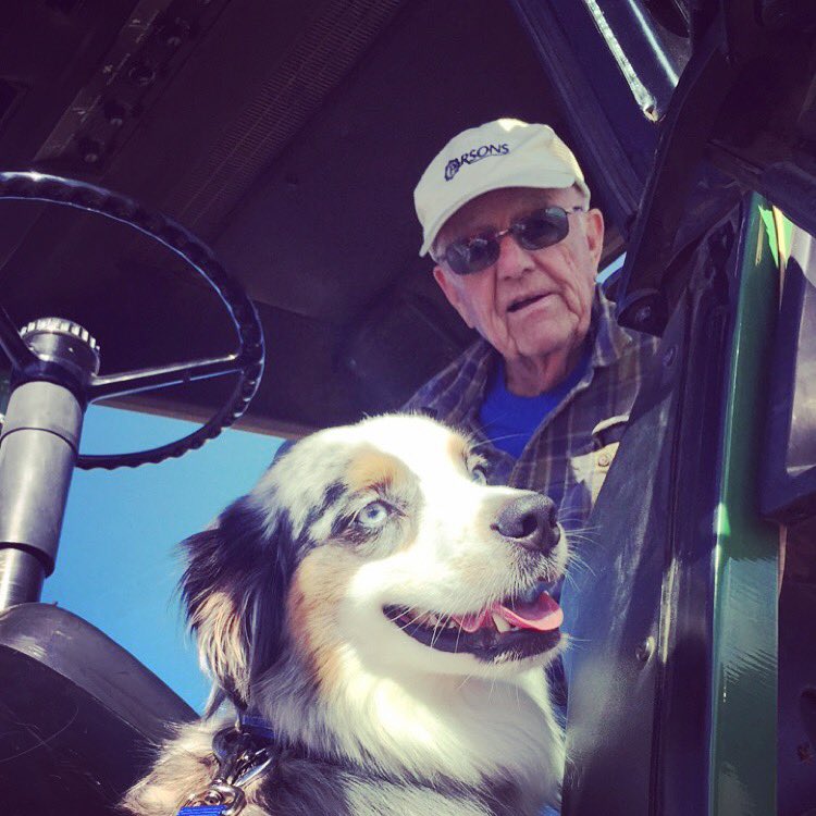 Megan (Ott) Olson tweet media