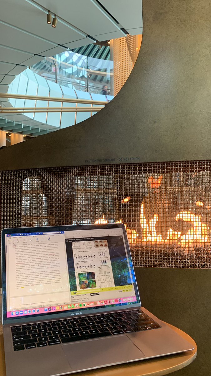gargi_mishra2's tweet image. Worlds largest Starbucks. Overpriced lattes with latte art. Fireplace. Name a better spot to write your scientific paper. I’ll wait. #StarbucksRoastery #Chicago