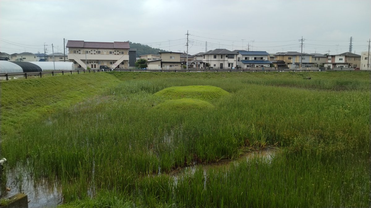 _rekichi's tweet photo. オマケになるのですが、、

↓ここ！！ややこしい！
https://t.co/wcKp7fovbF

ええ、行きましたよ！
ひょうたん島？
古墳脳になってるから古墳に見えるんじゃ！ https://t.co/dlJXf4O6t8
