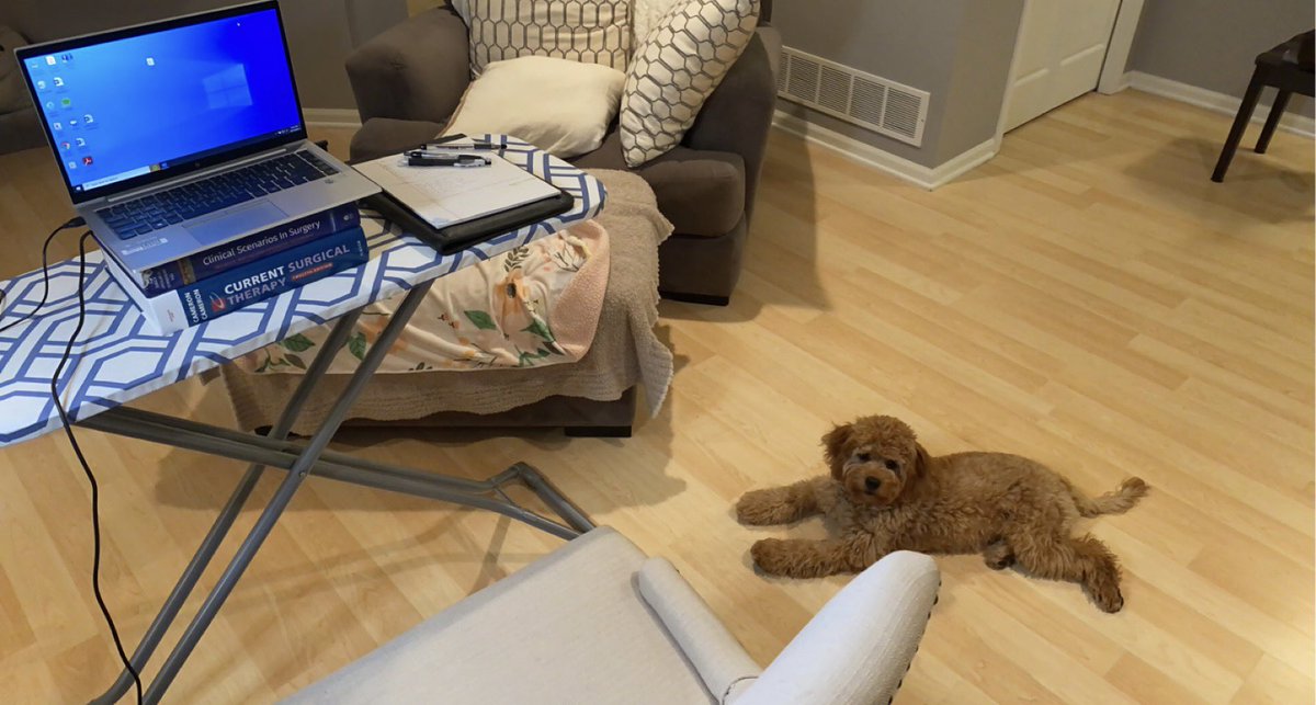 Nicholas McKenna (@npmckenna) on Twitter photo Great meeting all the <a href="/MayoClinicSurg/">Mayo Clinic Department of Surgery</a> #colorectalsurgery fellowship applicants this morning. Hard to believe it’s been one year since I was interviewing and Reese’s living room became a makeshift Zoom studio. Great meeting all the <a href="/MayoClinicSurg/">Mayo Clinic Department of Surgery</a> #colorectalsurgery fellowship applicants this morning. Hard to believe it’s been one year since I was interviewing and Reese’s living room became a makeshift Zoom studio.