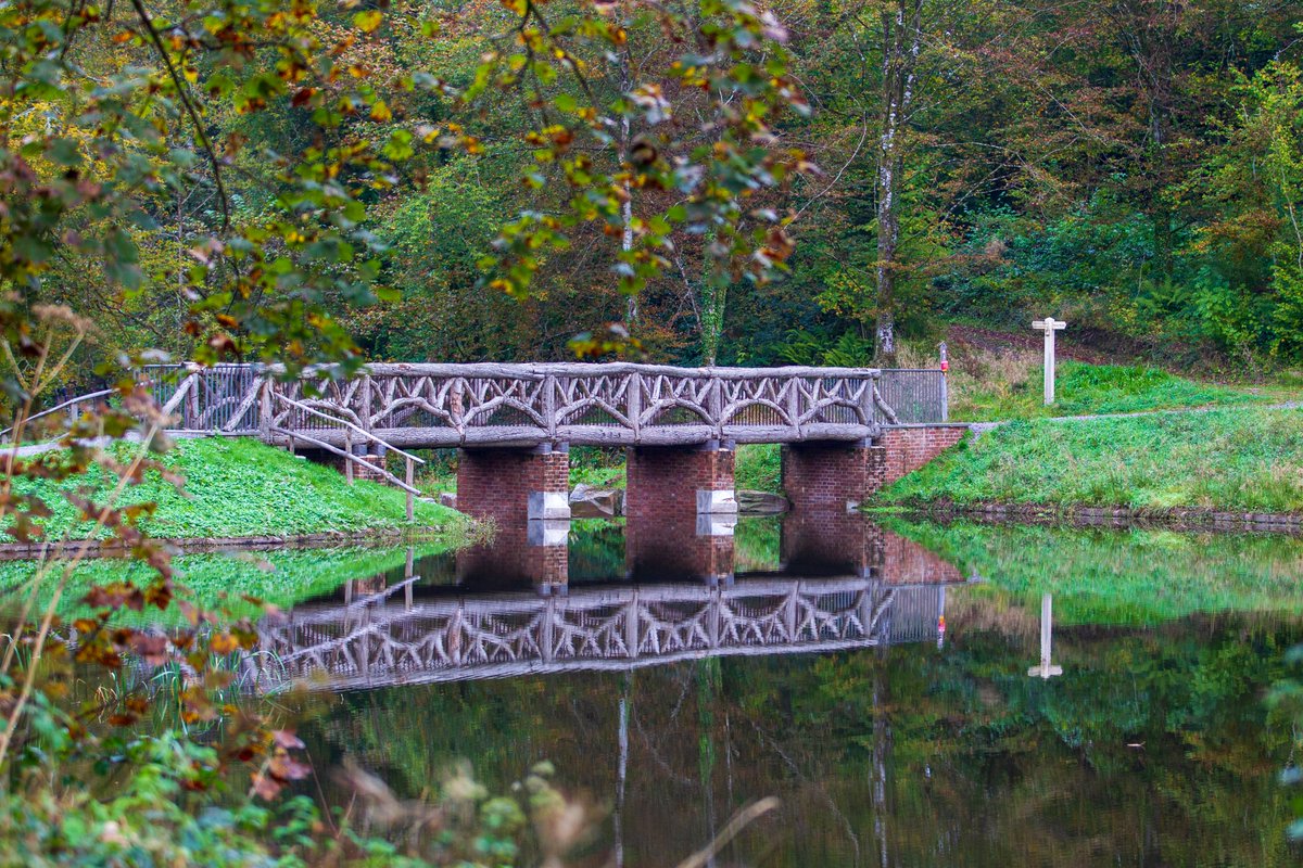 walesbotanic's tweet photo. #Ffaith dydd Gwener!
Dyma #Gyhydnos yr Hydref a diwrnod swyddogol cyntaf yr #Hydref!
Mae'r lliwiau ar y coed yn newid ac mae gennym liwiau oren a melyn yn cymryd canol y llwyfan yn y byd natur.
Dewch am dro drwy'r gerddi gwahanol a'r parcdir i weld yr harddwch eich hun.
🍂 https://t.co/2knGPSoF2C
