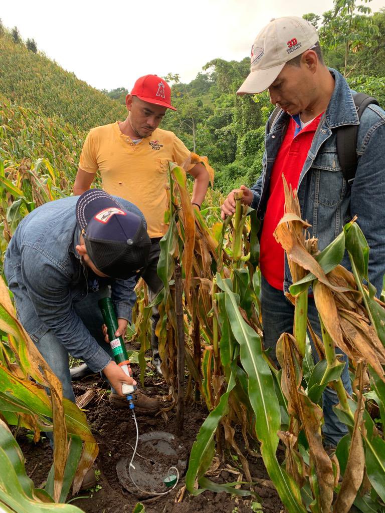 AgtechParaTodos's tweet photo. Los sensores de humedad de suelo de bajo costo del #ProyectoFontagro tras la primera colecta de información ya están brindando datos a los agricultores de Colombia, Honduras y Nicaragua. https://t.co/Ikqzqrgw5i