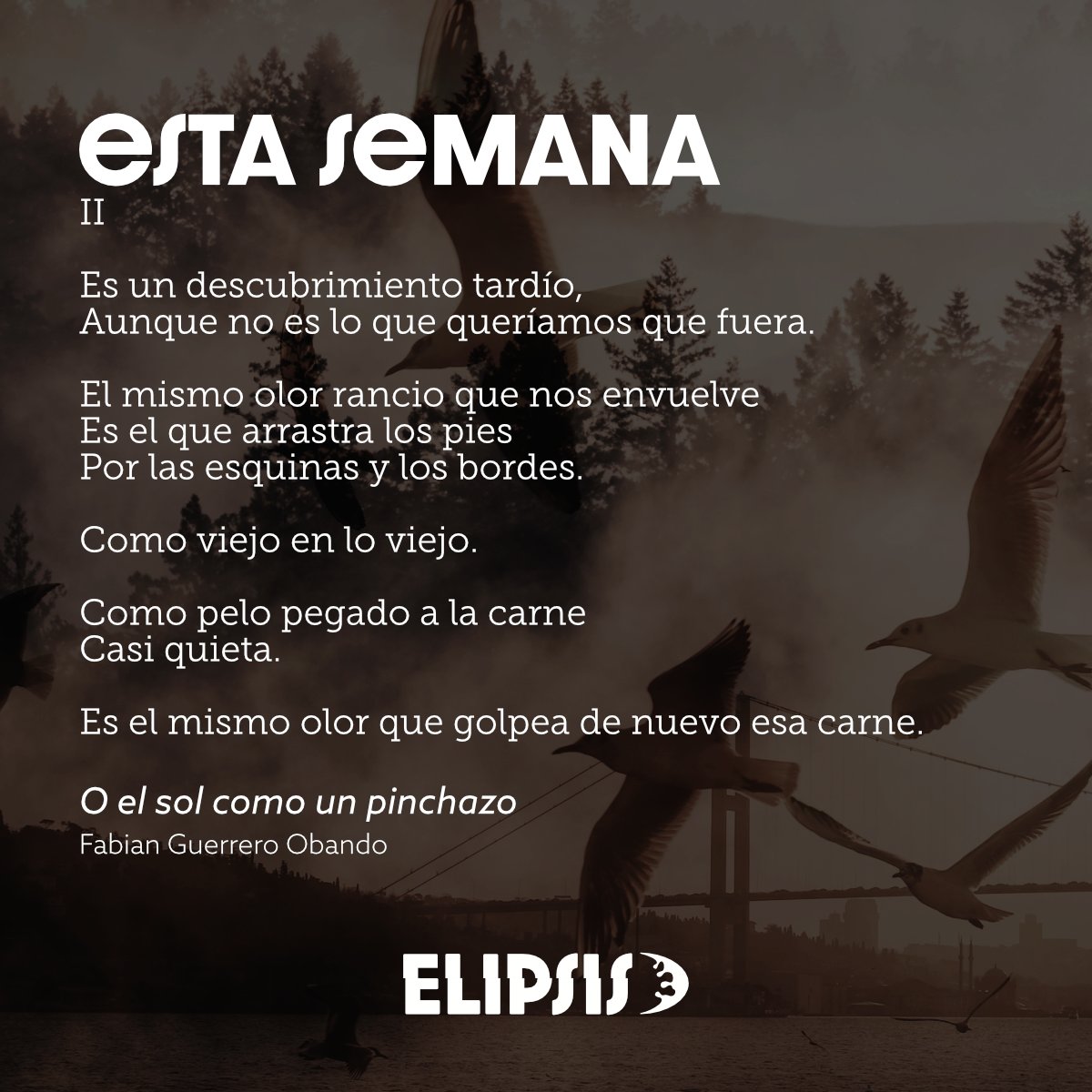elipsisec's tweet photo. #POESÍA 
O el sol como un pinchazo
Fabian Guerrero Obando

Es un descubrimiento tardío,
Aunque no es lo que queríamos que fuera.

El mismo olor rancio que nos envuelve
Es el que arrastra los pies
Por las esquinas y los bordes

https://t.co/P9VorBrNFN

 #autor #ElipsisEc #Quéleer https://t.co/Q5Hde7cd1r