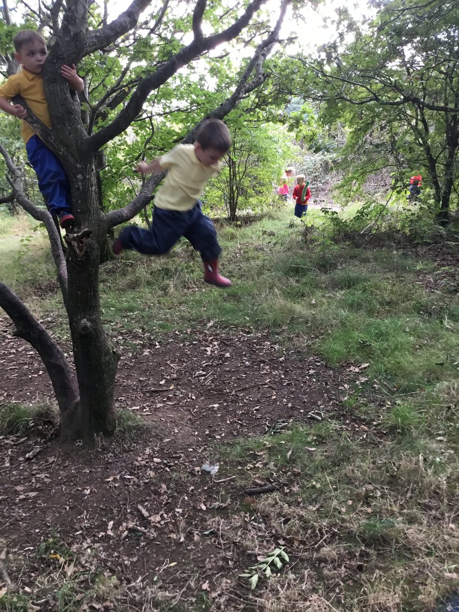 DreghornPrimary's tweet photo. It's Benn fun in the woodland walk this week for our Early Years Class. They've been finding numbers with sticks in the woods. They found lots of number ones and sevens!!
They also took part in lots of risky play by climbing the trees and jumping off. #NumbersAreEverywhere https://t.co/wZTnypMNMr