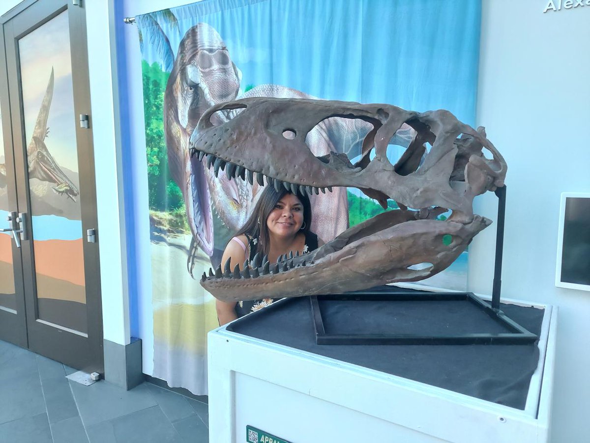 Fossilcrates's tweet photo. Dr. Lopez' sister hanging out with #Appalachiosaurus at #TheMap. This cool skull is one our new exhibits from #FossilCrates!
Looking for cool small-sized exhibits? Contact Brian@FossilCrates.com to find out more.
#MuseumAtPF #museum #FossilFriday #dinosaur #dinosaurs #theropod https://t.co/jE2VHra817