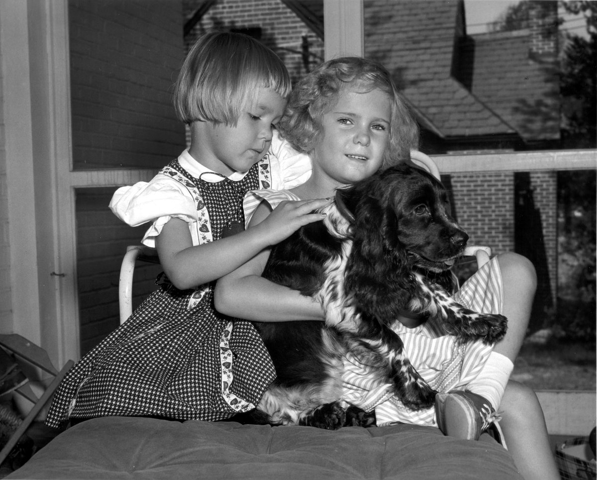 NixonLibrary's tweet photo. #OTD 9/23/1952 "And our little girl Tricia, the six year old, named it Checkers. And, you know, the kids, like all kids, love the dog, and I just want to say this, right now, that regardless of what they say about it, we're gonna keep it." (NAID 18558846) #CheckersDay
1/2 https://t.co/dXGUIzOVql