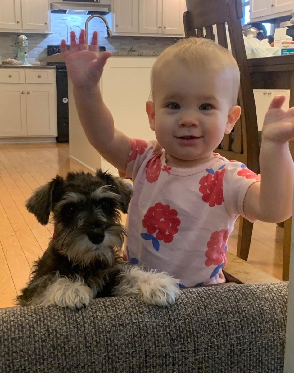 When Steph and I got together, she wanted a child, but I didn’t.

When Steph and I got together, she wanted a dog, but I didn’t. 

So we compromised…and had a child and a dog 🤣

Welcome to the family, Pepper!