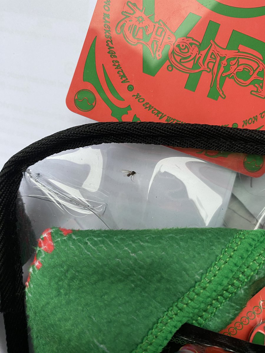 CakeLikeElodie's tweet photo. Found one of these (violent) flying ants of London night 1 😂😂 #chromaticaball #ChromaticaBallLondon https://t.co/okGv5YBhv8