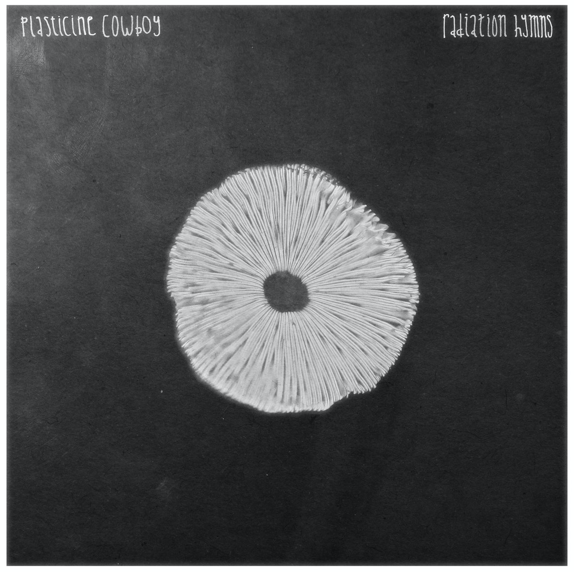 CliffBurns's tweet photo. New #Album drop for Plasticine Cowboy. Fans of #ALTRock, #Beck and smart #music will love "Radiation  Hymns". Four years in conception and creation, the work of an original, brilliant #artist:

#Pop #rock #IndependentArtists 

https://t.co/bC0l0sCMez https://t.co/IAd2gBLubQ