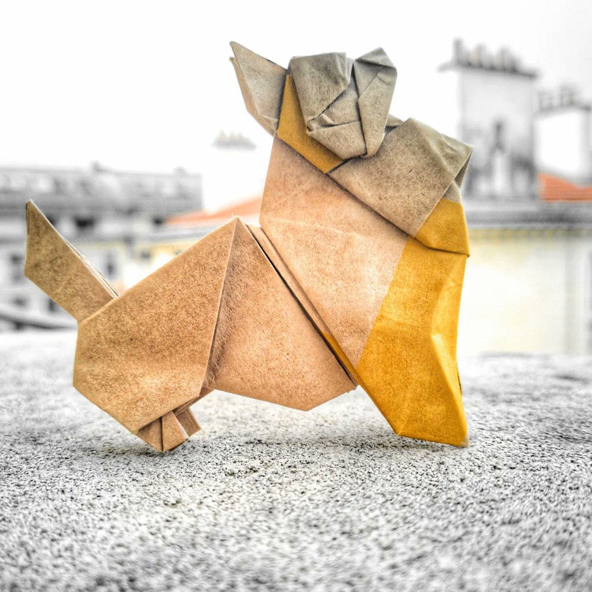 BarthDunkan's tweet photo. McDog.
ORIGAMI Spitz Seated and Lying
Spitz assis et couché stylisé et plié par Barth Dunkan (EcOrigami).
Plié à partir d'un rectangle issu d'un sac.
#barthdunkan #ecorigami #magicfingaz #dog #origami #paperfolding #paperart #mfpp #chien #origamidog #spitz #McDonalds https://t.co/kghBavOxTH