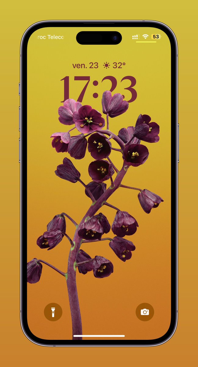 smartechdaily's tweet image. خلفيات نظام #iOS11 في حلة جديدة مع شاشة قفل نظام #iOS16 😃