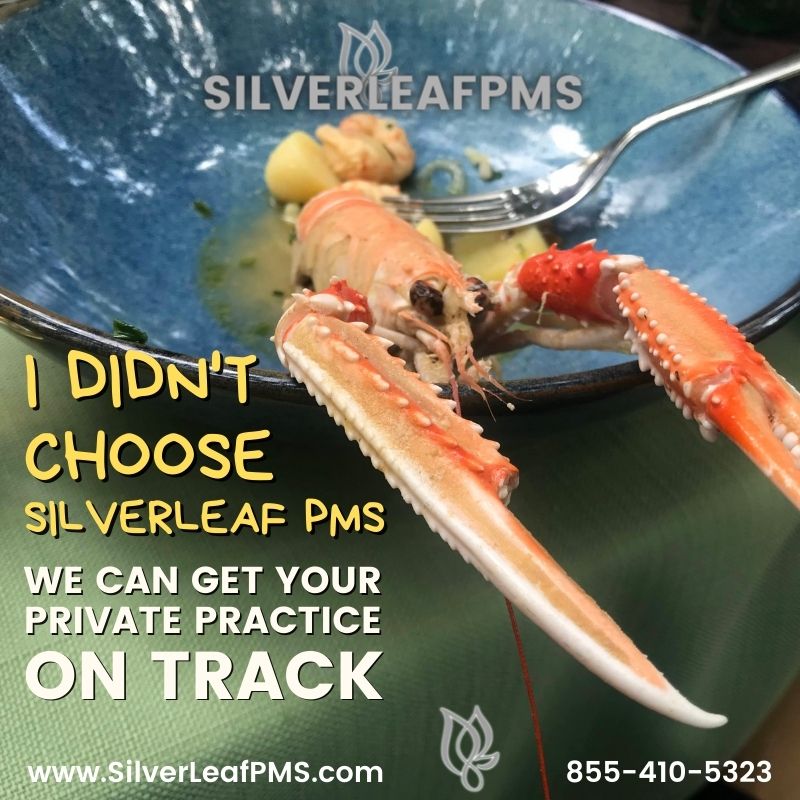 SilverLeafPMS's tweet photo. dont end up in hot #water #SILVERLEAFPMS I DIDN'T CHOOSE #SILVERLEAF #PMS WE CAN GET YOUR #NP PRIVATE PRACTICE ON #TRACK 855-410-5323 https://t.co/8GuHV5GPHj